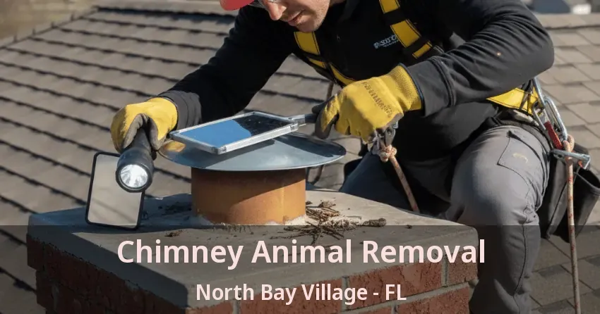 Chimney Animal Removal North Bay Village - FL Chimney Animal Removal North Bay Village - FL