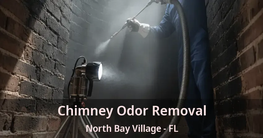 Chimney Odor Removal North Bay Village - FL