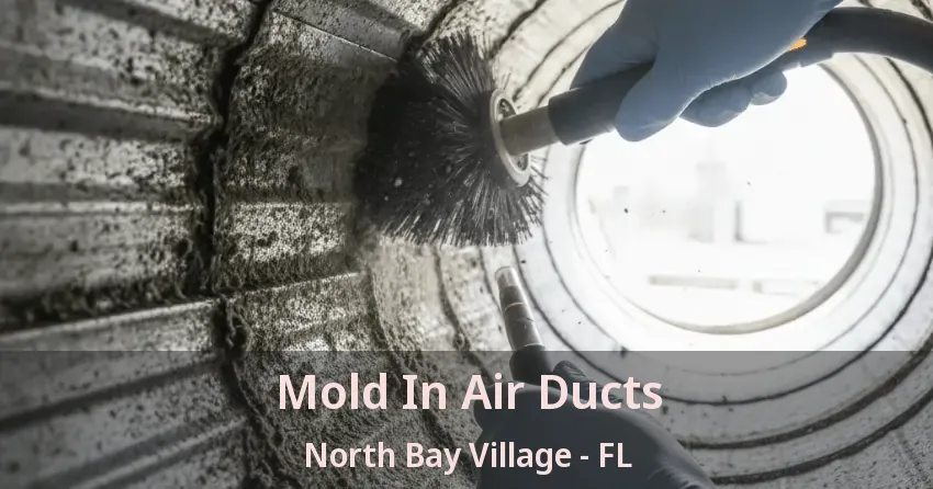 Mold In Air Ducts North Bay Village - FL