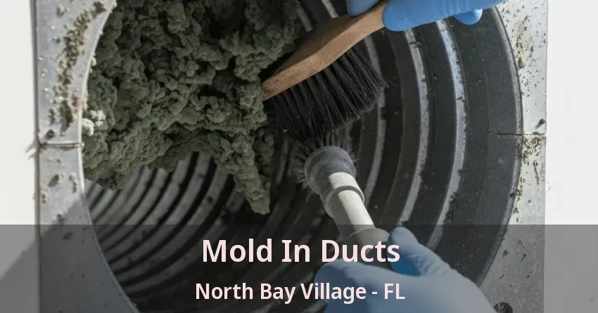 Mold In Ducts North Bay Village - FL